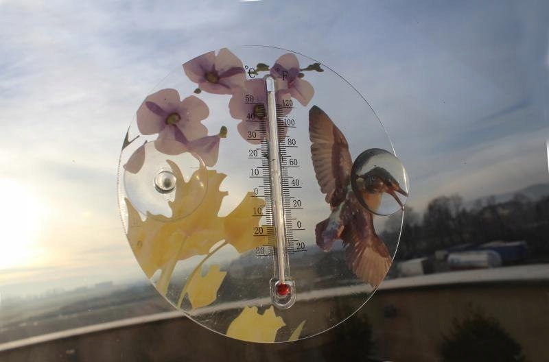 Termometr Zewnętrzny Ozdobny Okrągły 16,5cm Ptaki