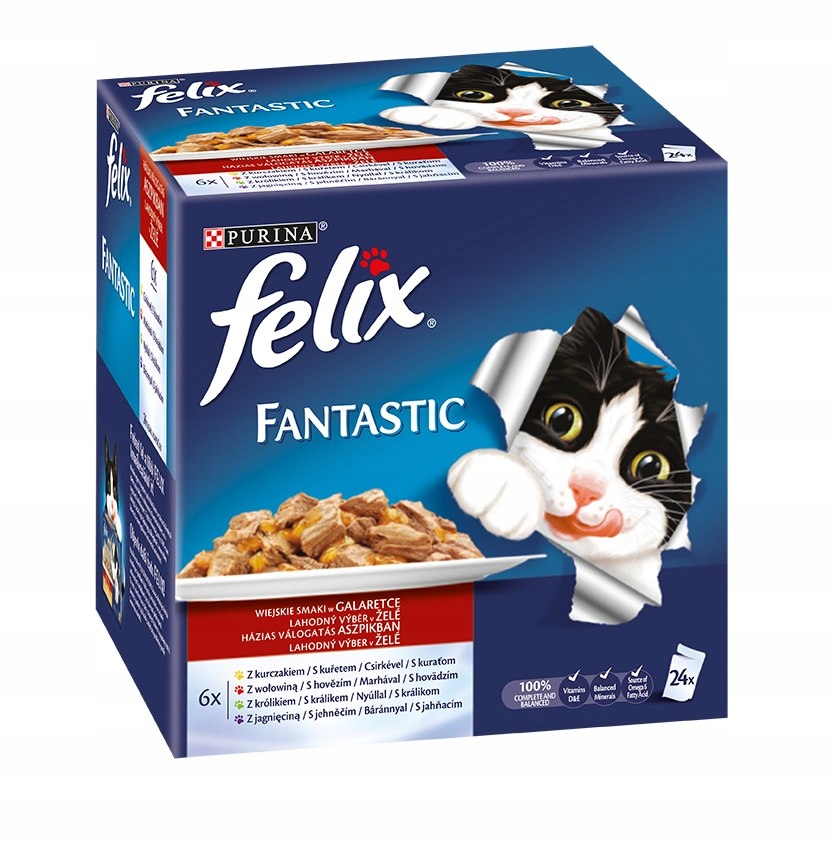 FELIX Fantastic 4 (24x100g) PL