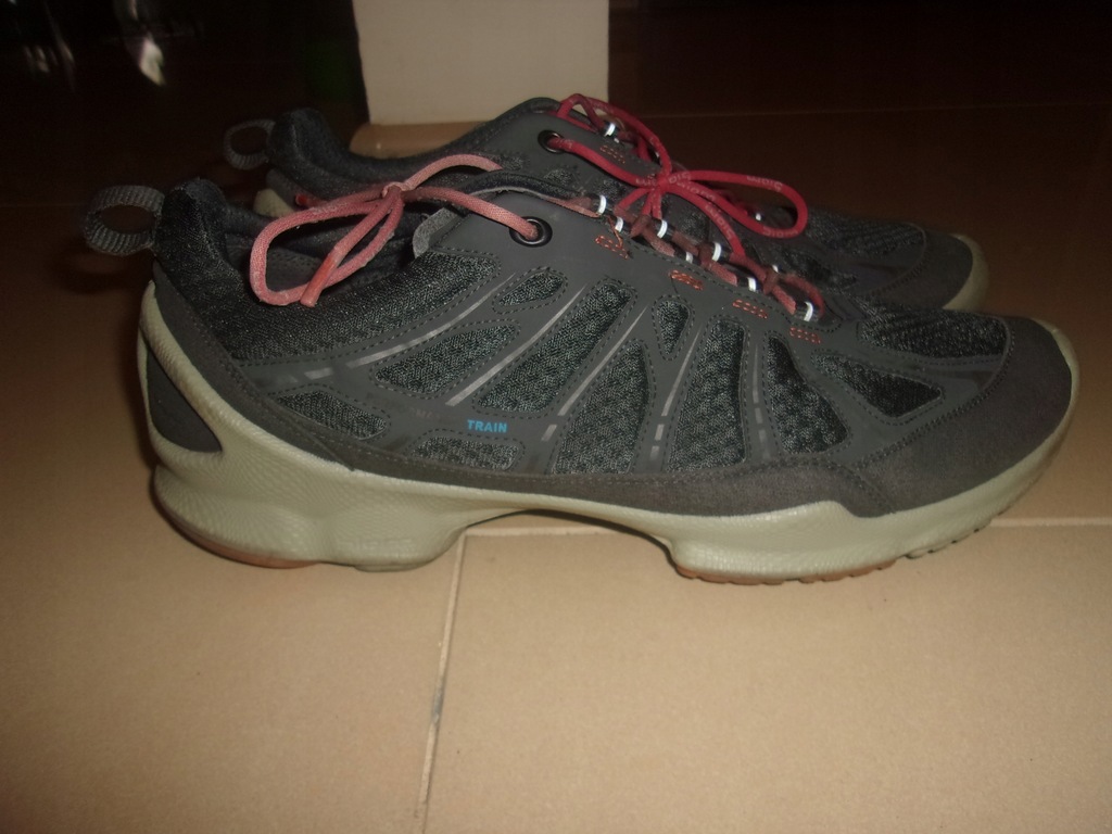 Buty ECCO biom Performance Train 45 29cm