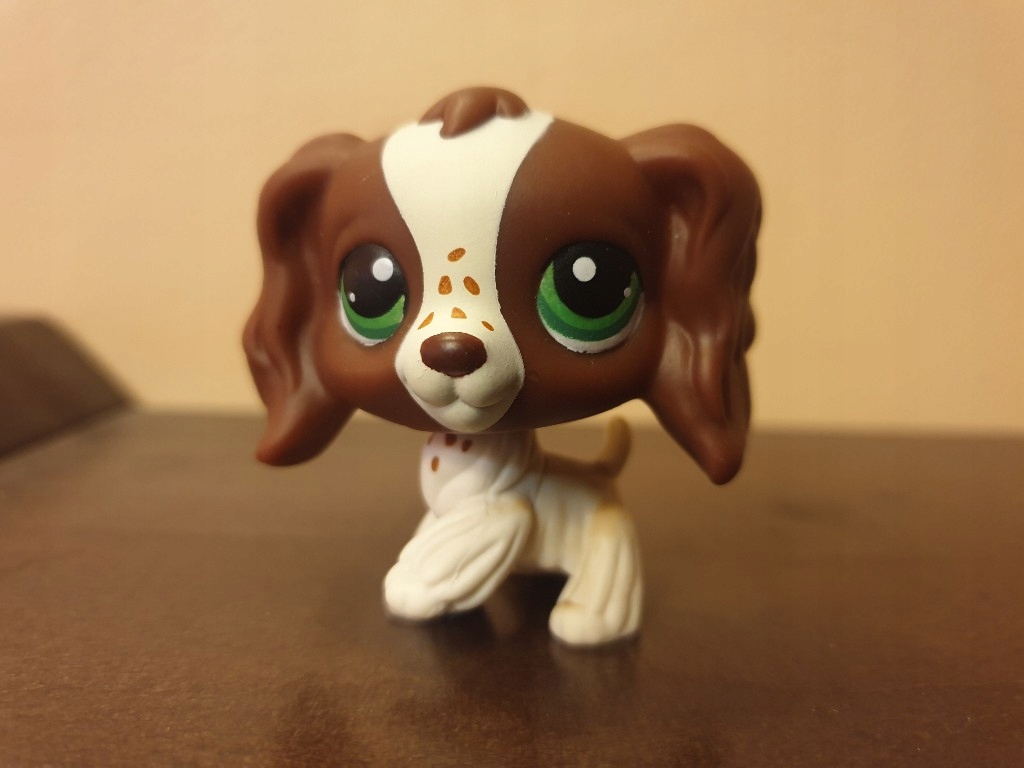lps spaniel z piegami Unikat