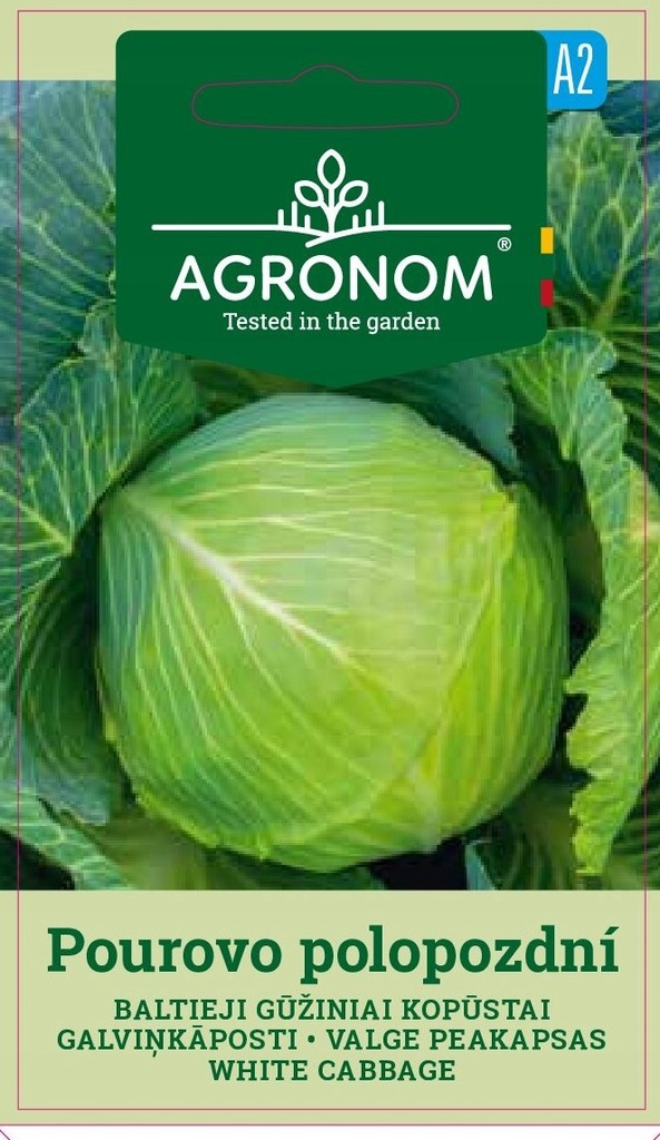 Купить КАПУСТА ПУРОВО ПОЛОПОЗДНИ _______________ АГРОНОМ: отзывы, фото, характеристики в интерне-магазине Aredi.ru