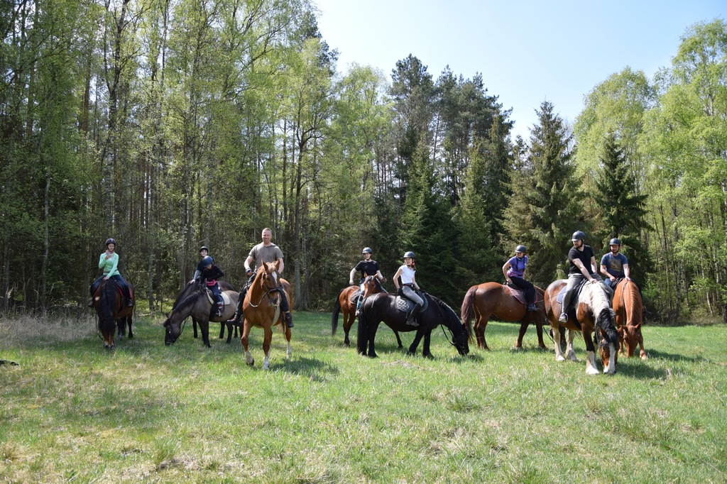 Konny Obóz jeździecki, Ferie w siodle, 2,5 h jazdy konnej dziennie