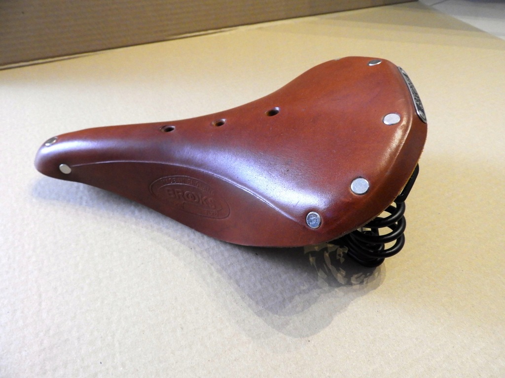 brooks champion flyer