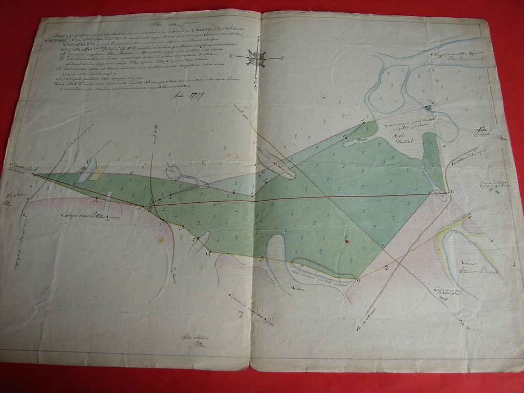 MAPPA GEOGRAFICA [...] Czarne et Szlewo. 1799. [Ku