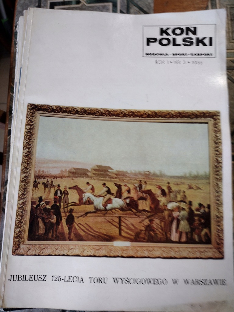 59 szt Koń Polski 1966 - 82 r