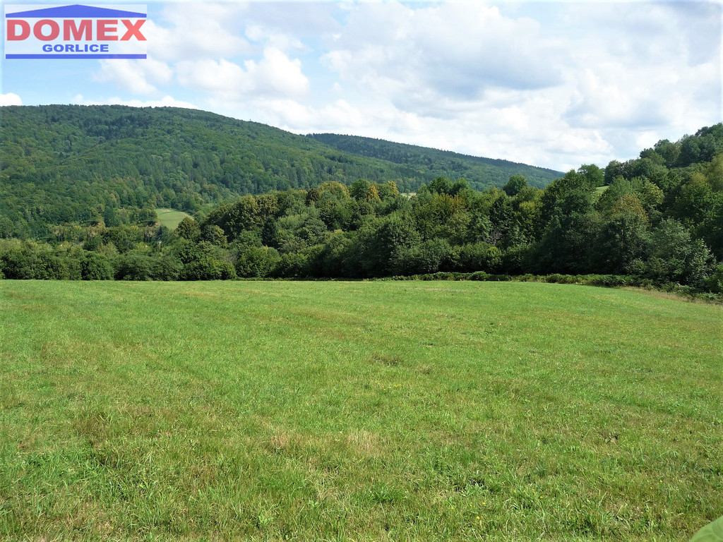 Działka, Małastów, 14800 m²
