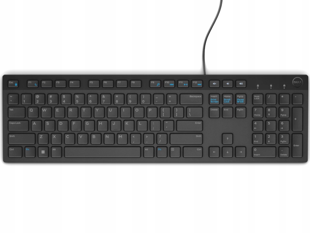 Windows10 (ブラック) Klawiatura Biurowa Dell KB216 Czarna z naklejkami
