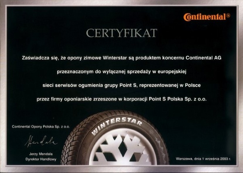Купить 4 x 195/65R15 91T Winterstar 4 Point S ЗИМА: отзывы, фото, характеристики в интерне-магазине Aredi.ru