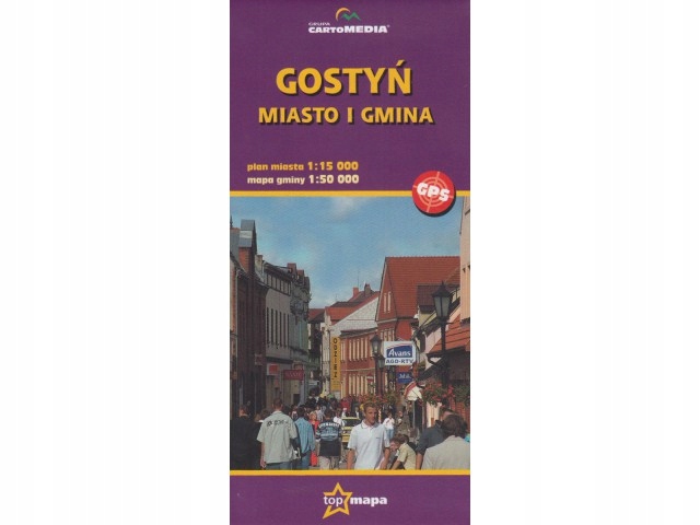 TopMapa Miasto i gmina Gostyń 1:50 000 mapa