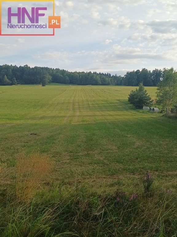 Działka, Smerekowiec, 10000 m²