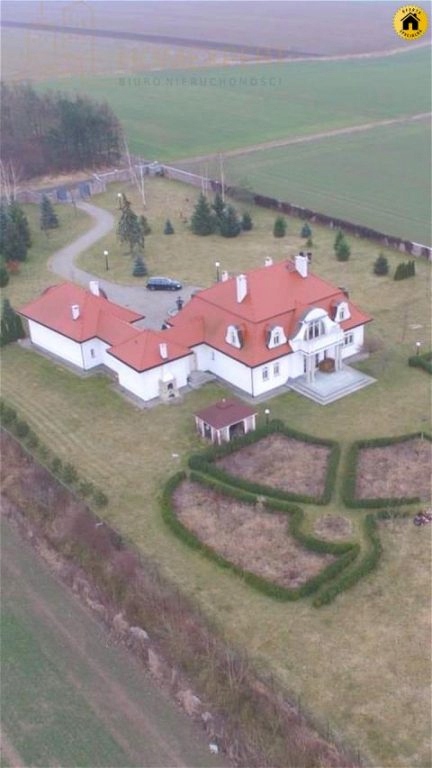 Dom, Brzeg, Brzeski (pow.), 450 m²