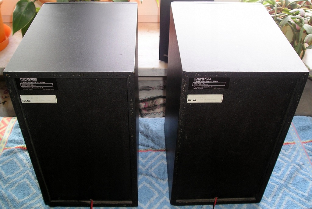 Купить Музыкальные колонки Panasonic SB CH 33 6 Ом/80 Вт: отзывы, фото ...