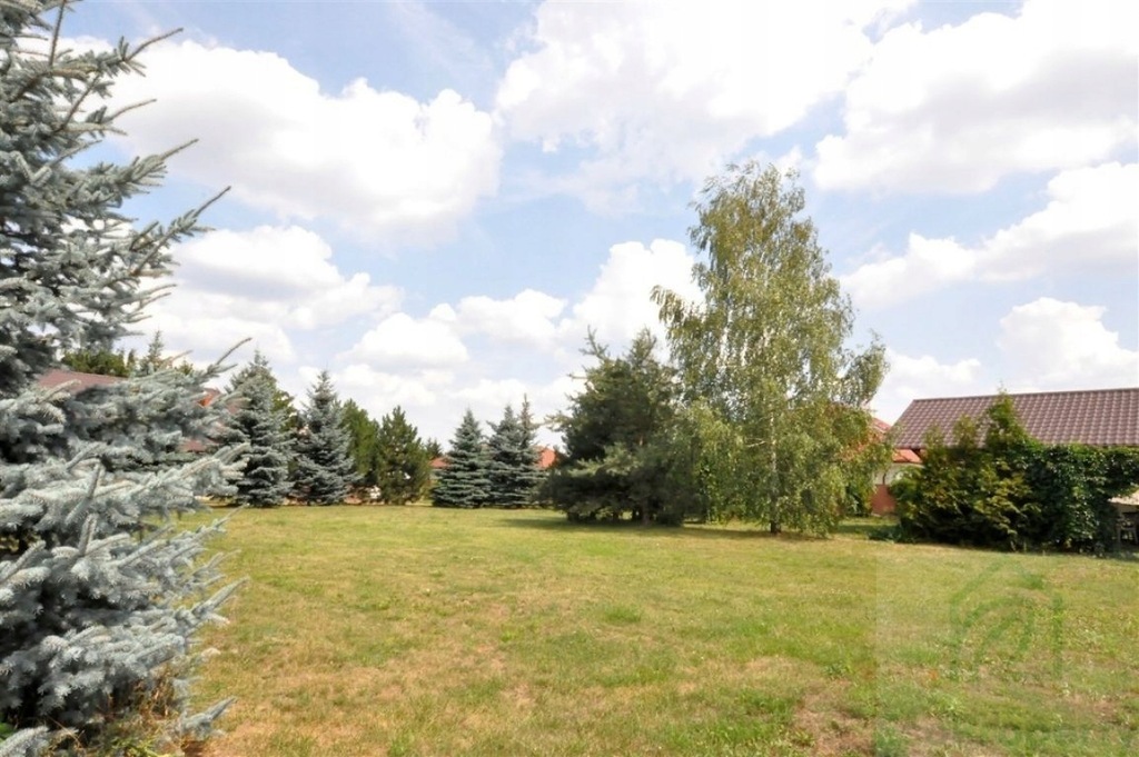 Działka, Baranowo, Tarnowo Podgórne (gm.), 1114 m²