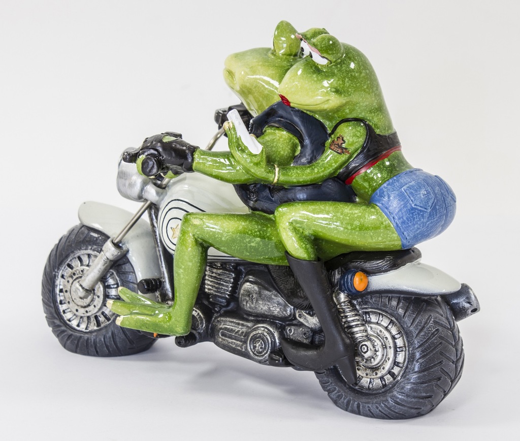 Лягушка на мотоцикле клип. Лягушка на мотоцикле. Лягушонок на мотоцикле. Жаба на мотоцикле. Лягушка байкер.