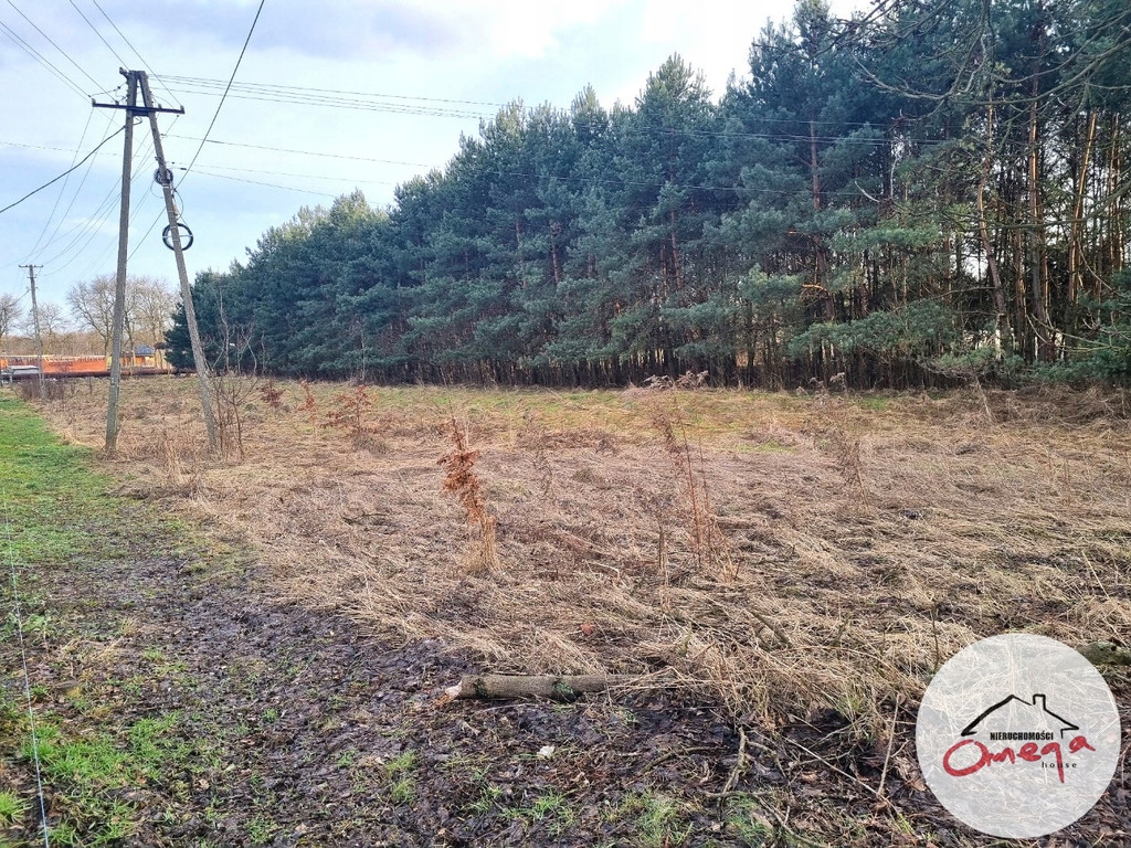 Działka, Sarnów, Psary (gm.), 2935 m²