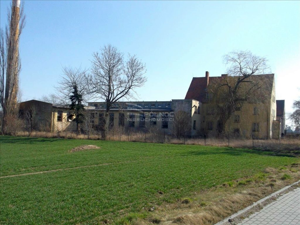 Komercyjne, Paszowice, Paszowice (gm.), 2344 m²