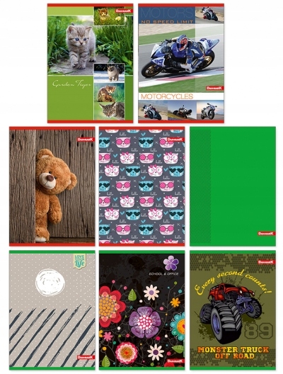 Zeszyty Dan-Mark A5 linia 32