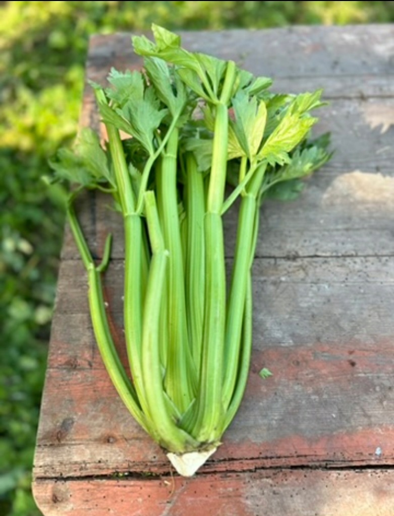 Seler naciowy BIO 900 g