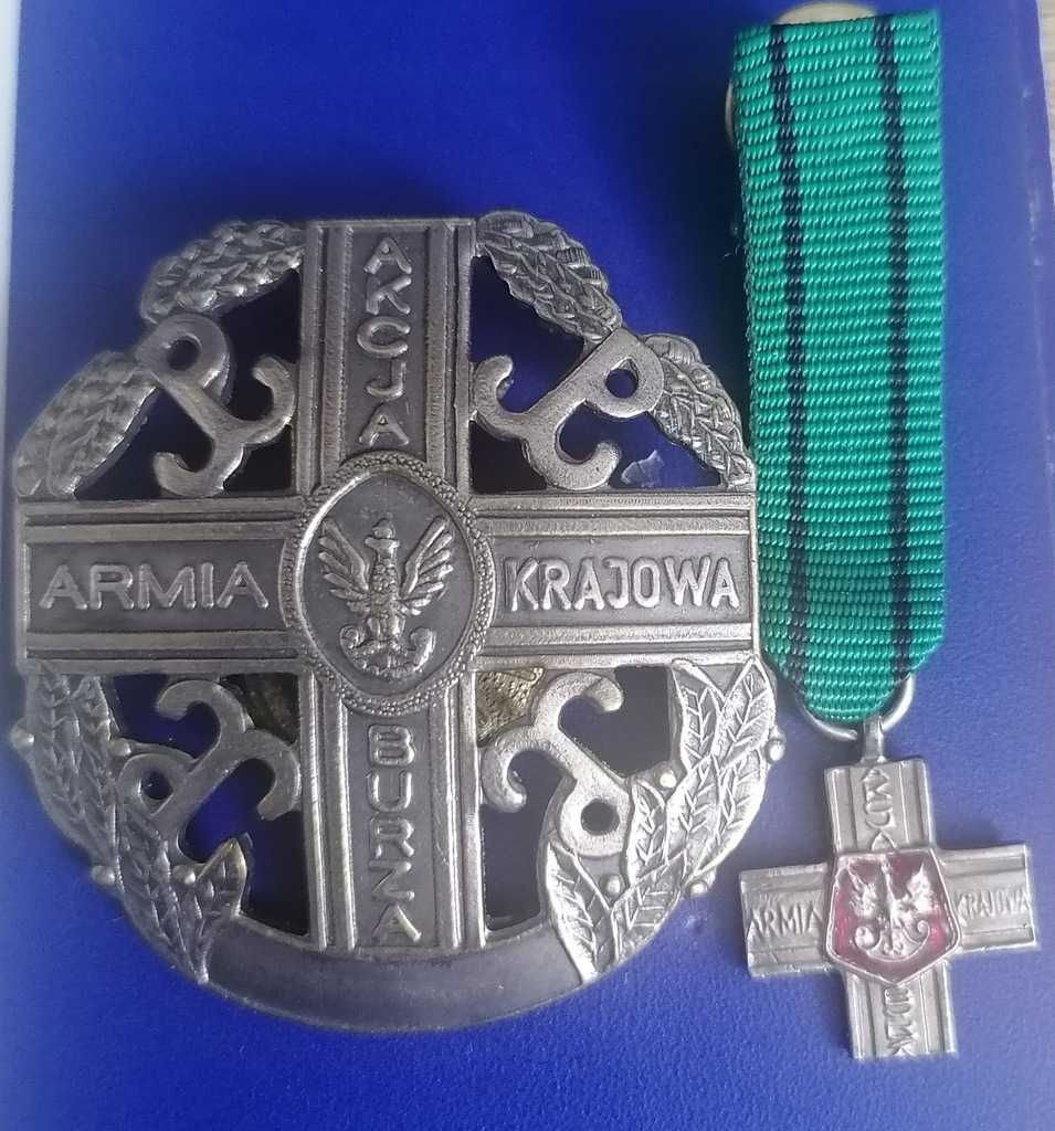 Miniaturka odznaki i duża odznaka Akcja BURZA 44