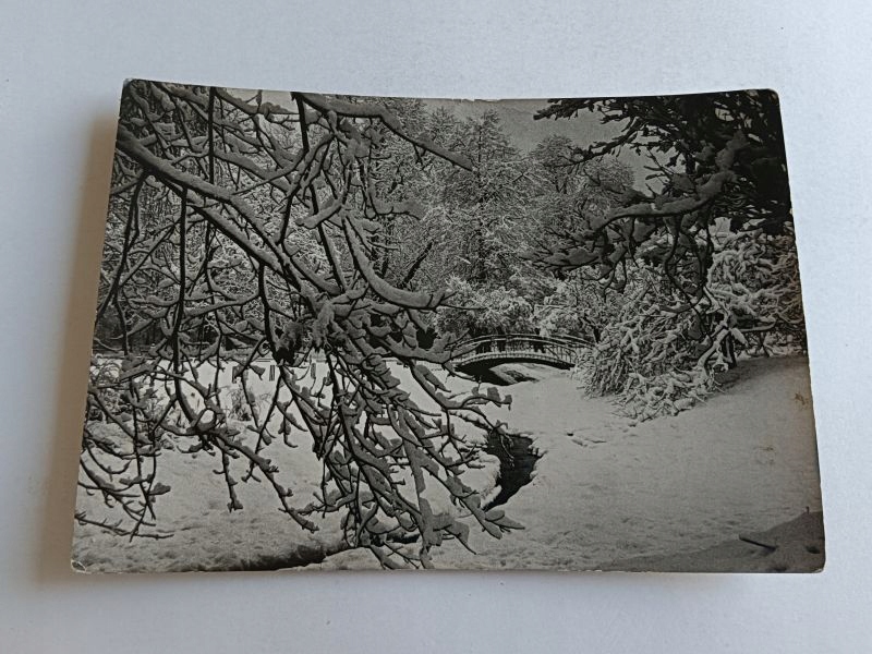 KRAKÓW PLANTY W ZIMIE 29807 X