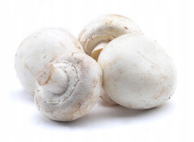 Pieczarka Polska 500 g