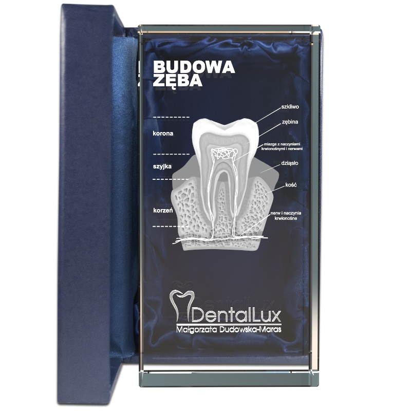 гравировка на подарке стоматологу. надпись на ложке на первый зубик. подарок стоматологу.