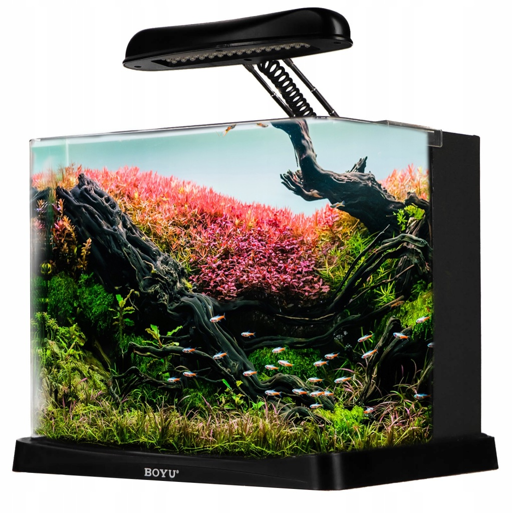 AKWARIUM Z PANELEM FILTRACYJNYM 16L + OŚWIETLENIE 11331010226