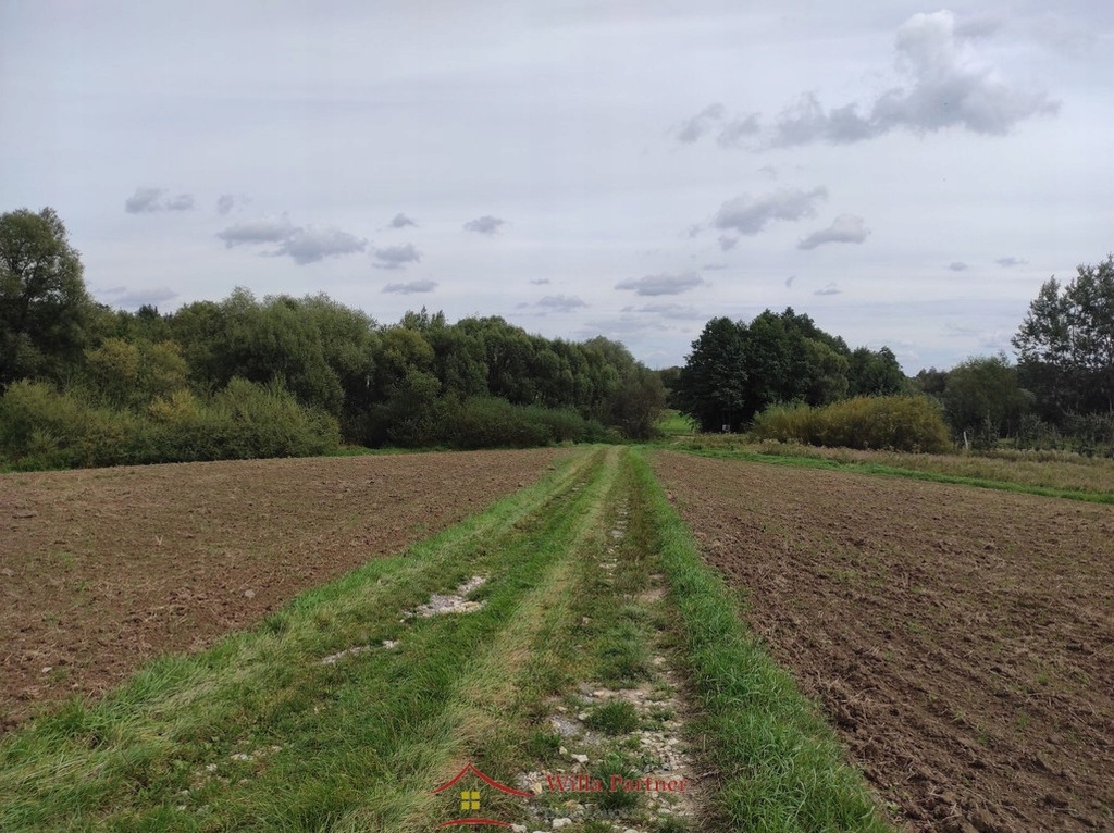 Działka, Gruszów, 5600 m²