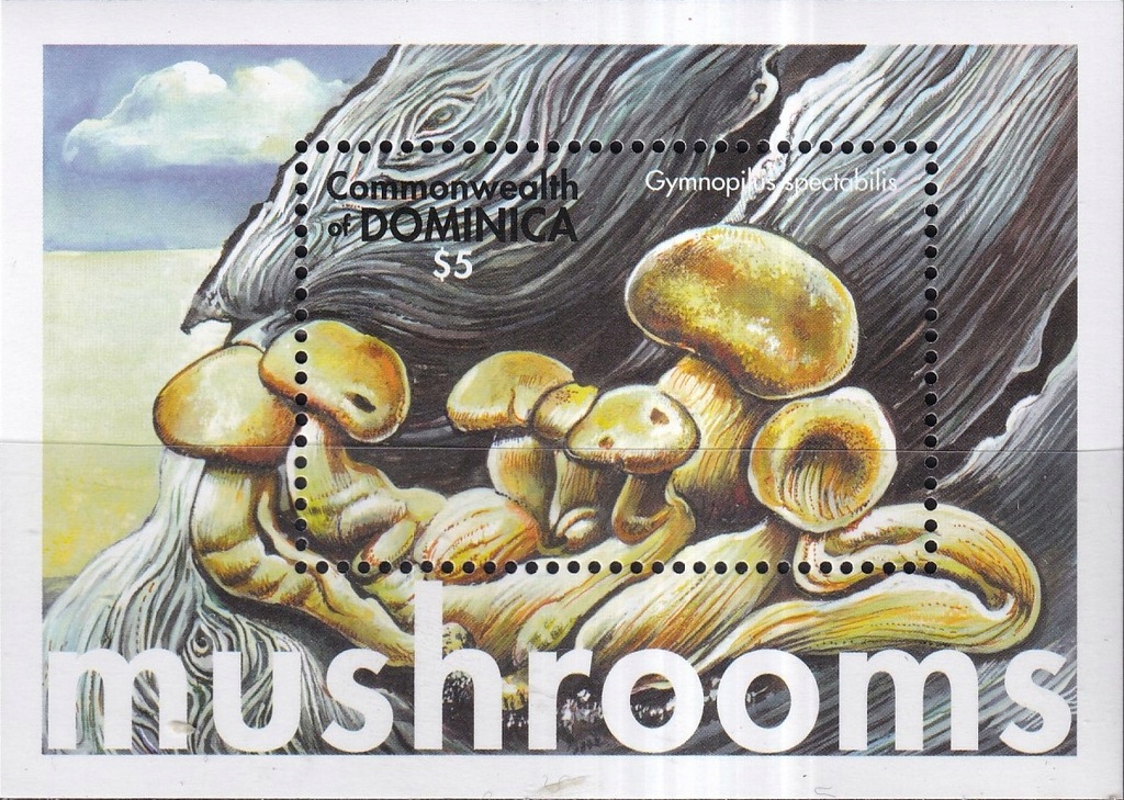 Dominika 2001 ** cena 5,90 zł kat.4€ - grzyby (2)