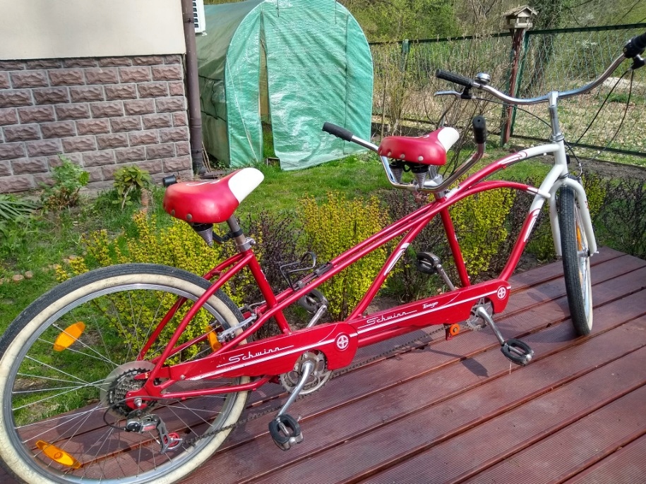 schwinn tango
