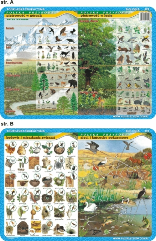 Podkładka edukacyjna Piętrowość w górach i