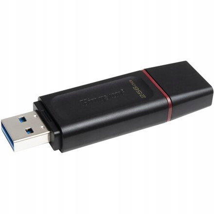 Kingston USB Flash Drive DataTraveler Exodia 256