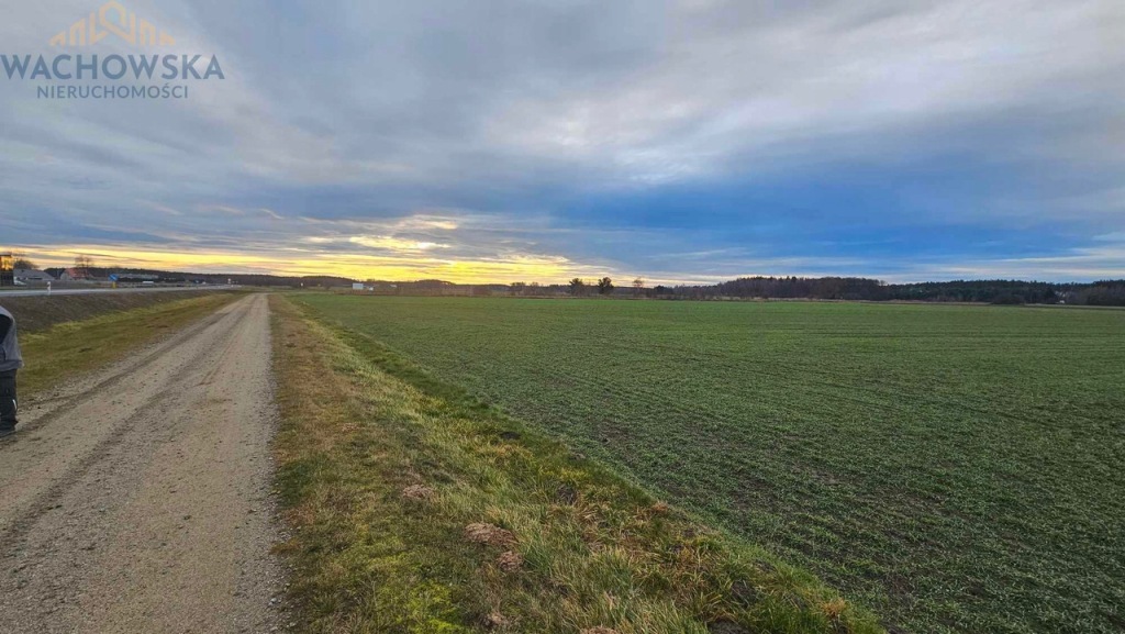 Działka, Babimost, Babimost, Zielonogórski, 14491 m²