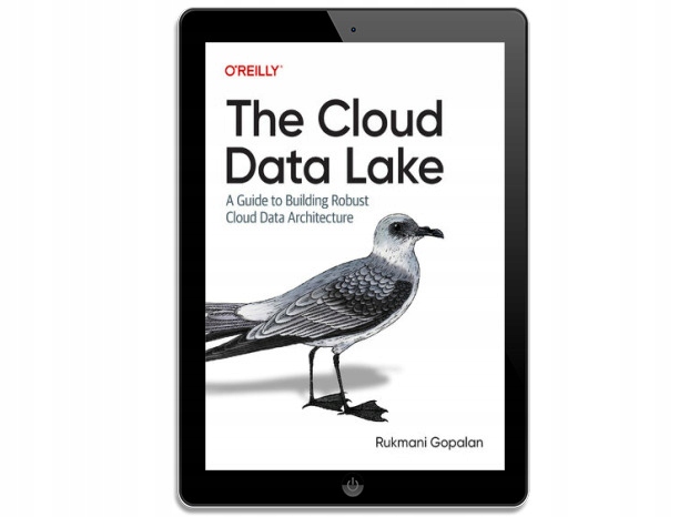 The Cloud Data Lake