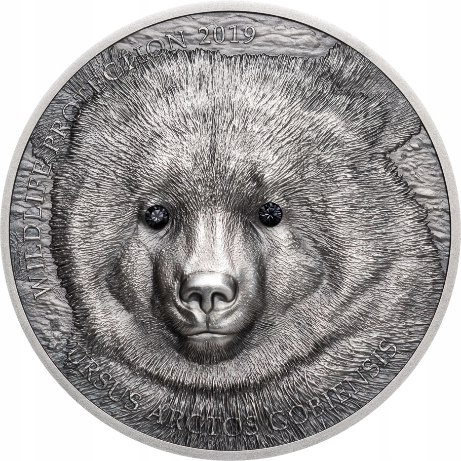 500 Togrog 2019 – Mongolski niedźwiedź Gobi