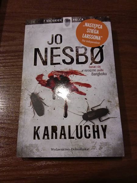 Jo Nesbo - Karaluchy