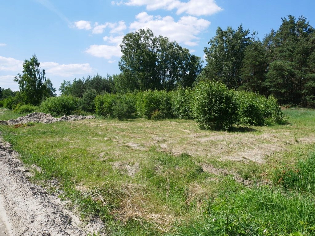 Działka Żabia Wola, grodziski, 890,00 m²