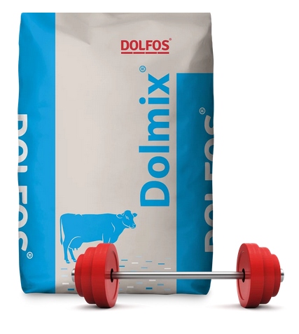 Dolpower Protect glukoza chroniona dla krów mlecznych bydła Dolfos 20kg