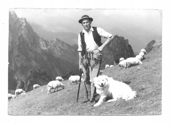 Pocztówka - Góral, owczarek i owce na hali / pasterz