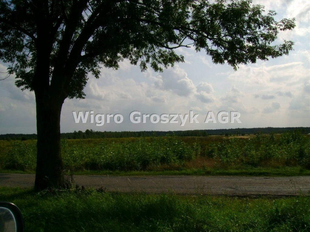 Działka, Łomna, Czosnów (gm.), 16000 m²