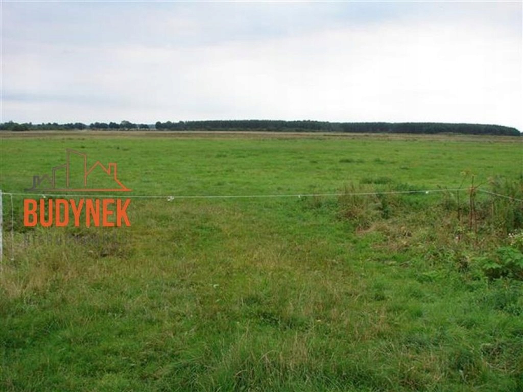 Działka, Domasławice, Darłowo (gm.), 163800 m²