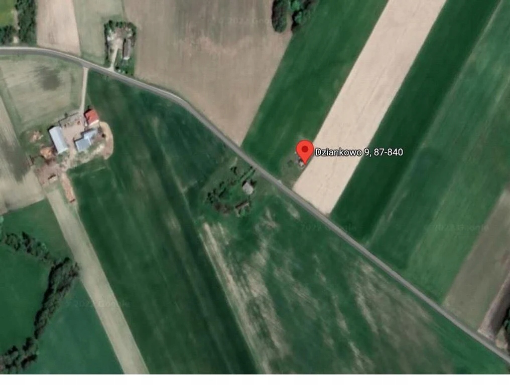Działka, Dziankowo, Lubień Kujawski (gm.), 1005 m²
