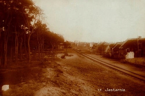 Jastarnia - Reprodukcja 362