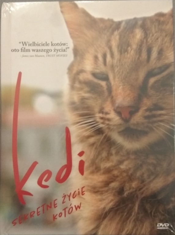 Kedi sekretne życie kotów DVD