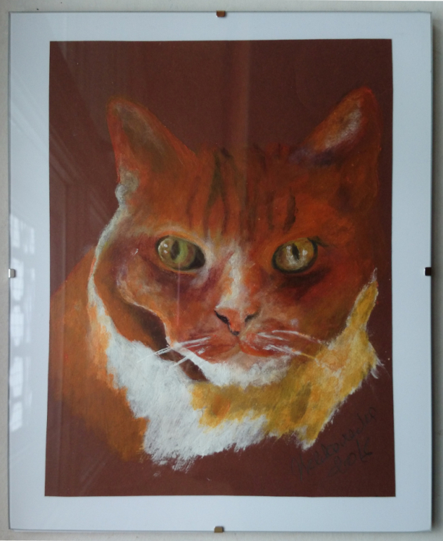 Przepiękny obraz rudy kot - POMÓŻ ZWIERZĘTOM!