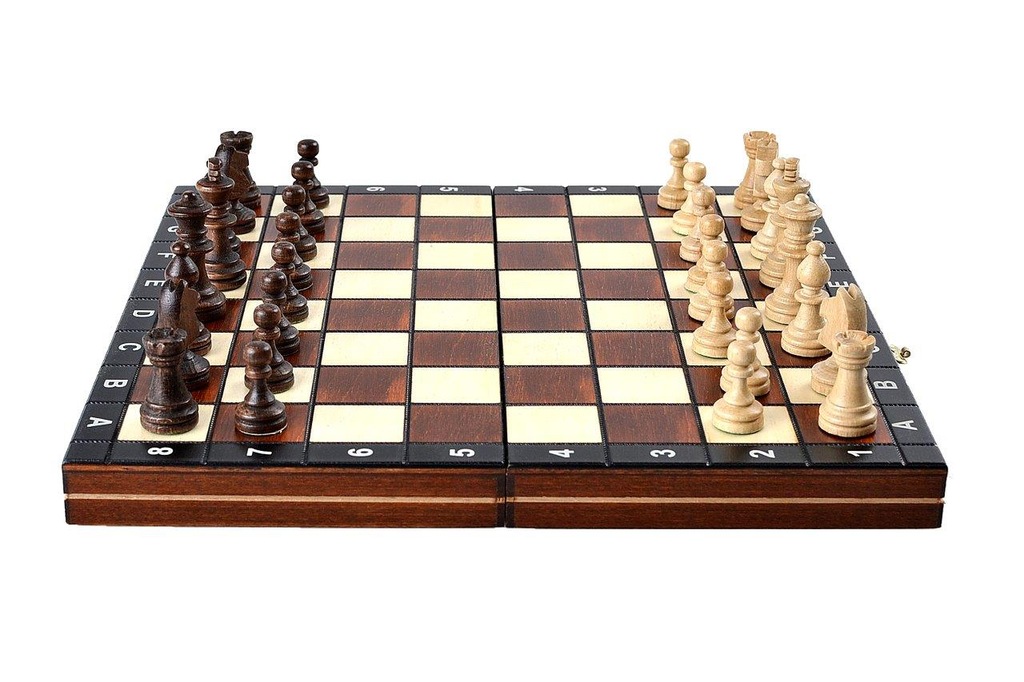 Купить E-CHESS COM Деревянные МАГНИТНЫЕ шахматы для путешествий: отзывы, фото, характеристики в интерне-магазине Aredi.ru