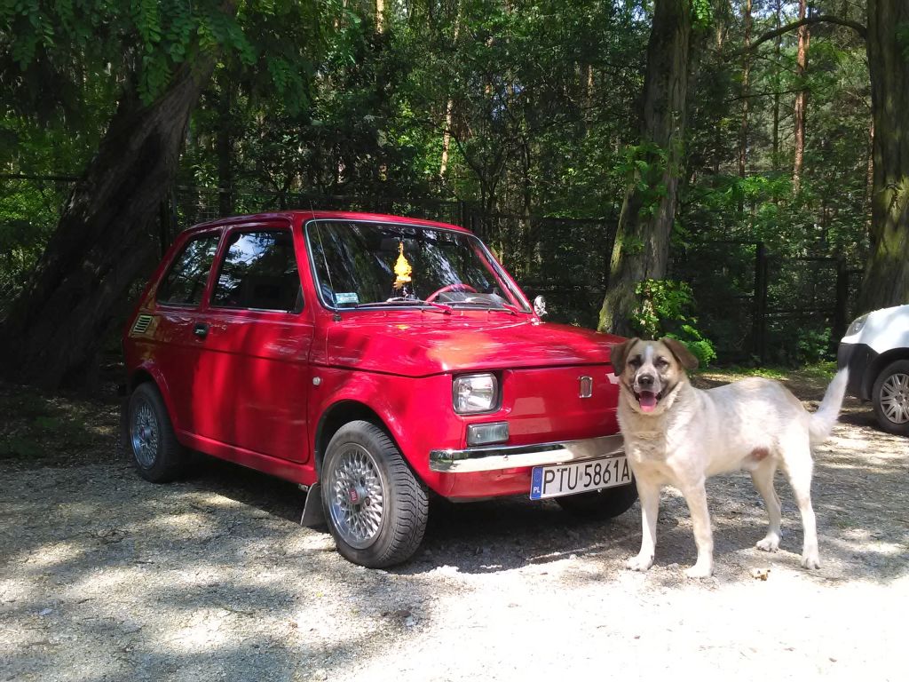 Wypożycz na weekend. Fiat 126el "MALUCH"