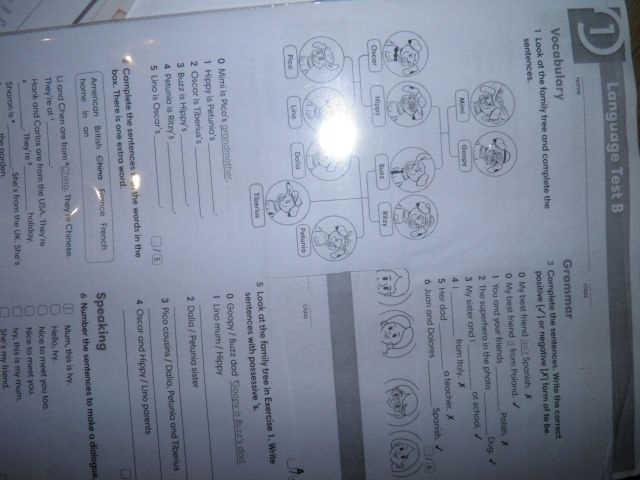 English Class A1+ Unit 0 Test English Class A1.TESTY,SKILLSY,odpowiedzi! - 7858454732 - oficjalne