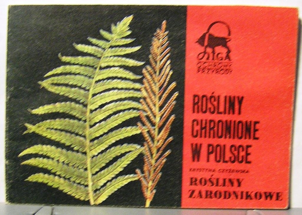 ro-liny-chronione-w-polsce-krystyna-czy-ewska-8410632624-oficjalne