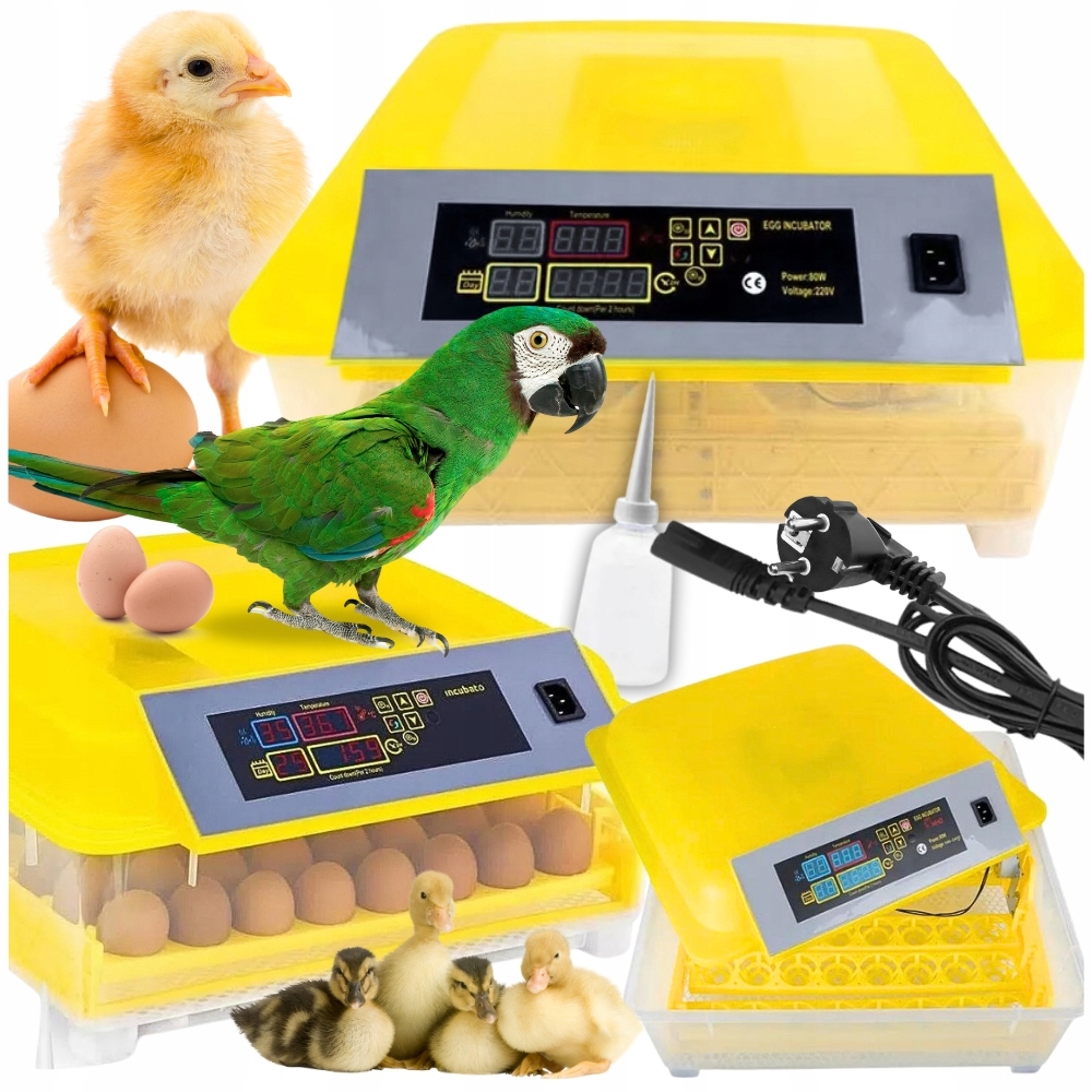 INKUBATOR WYLĘGARKA KLUJNIK AUTOMATYCZNY DO WYLĘGU DROBIU HODOWLA 48 JAJEK